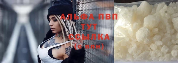 твердый Арсеньев