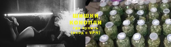 ПСИЛОЦИБИНОВЫЕ ГРИБЫ Армянск