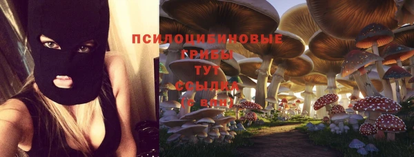 твердый Арсеньев